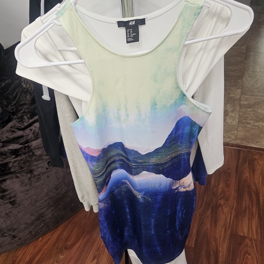 H&M Beyonce Multicolor Scenic Tank Dress